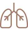呼吸器内科